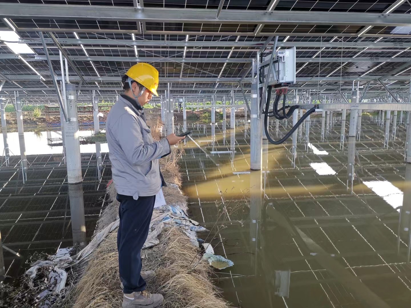 8161d4d1832c209ce1a4a6adbc986a4